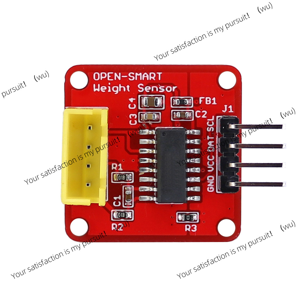 Kit bilancia elettronica porta - Diy Electronics Load Cell recensione e prezzo